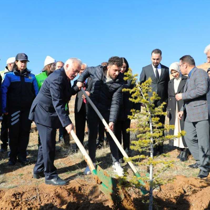 Aksaray'da Evlilik Hatıra Ormanı kuruldu #1