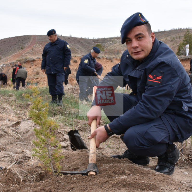 Aksaray'da 6 Şubat Deprem Şehitleri Hatıra Ormanı oluşturuldu #3