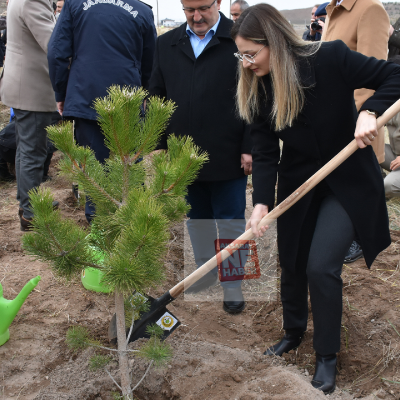 Aksaray'da 6 Şubat Deprem Şehitleri Hatıra Ormanı oluşturuldu #1