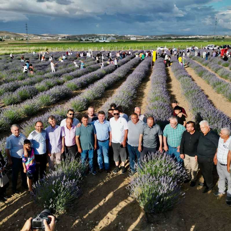 Aksaray'da Lavanta Bahçesi açıldı #1