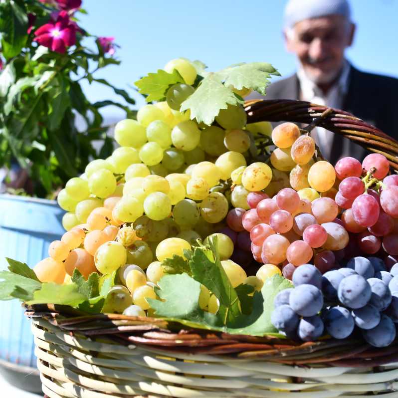 2. Geleneksel Bağ Bozumu ve Pekmez Festivali pazar günü başlıyor #2