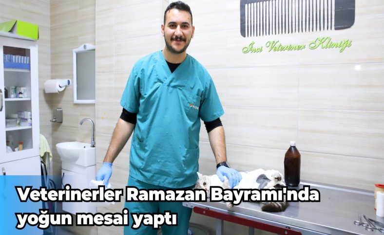 Veterinerler Ramazan Bayramı'nda yoğun mesai yaptı