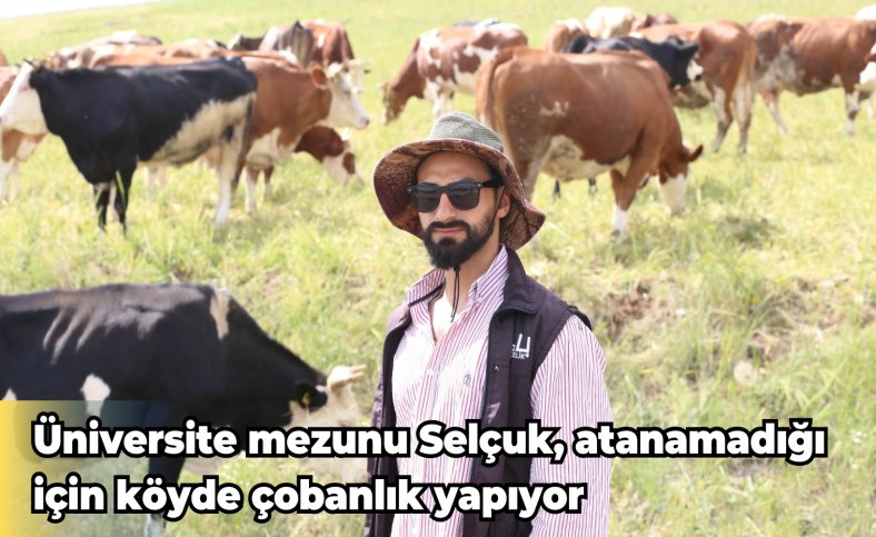 Üniversite mezunu Selçuk, atanamadığı için köyde çobanlık yapıyor