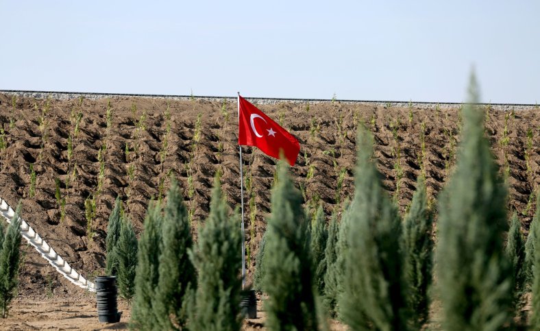 Aksaray’da yeşil alan varlığı yüzde 20'ye yakın arttı