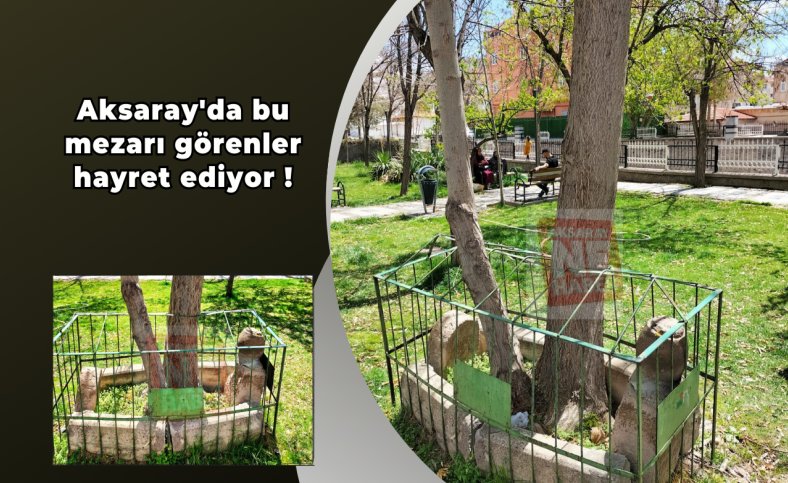 Aksaray'da bu mezarı görenler hayret ediyor !