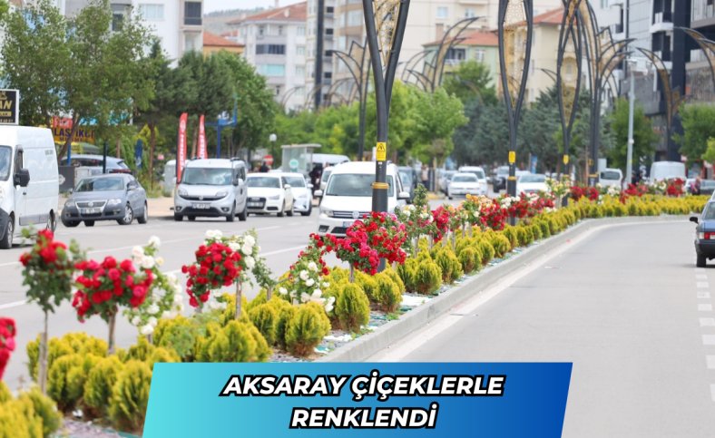 Aksaray çiçeklerle renklendi