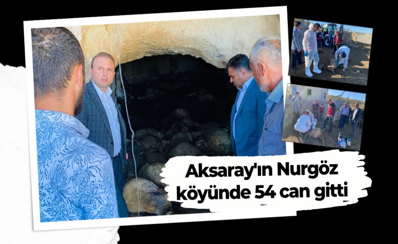 Aksaray'ın Nurgöz köyünde 54 can gitti