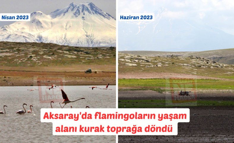 Aksaray'da flamingoların yaşam alanı kurak toprağa döndü