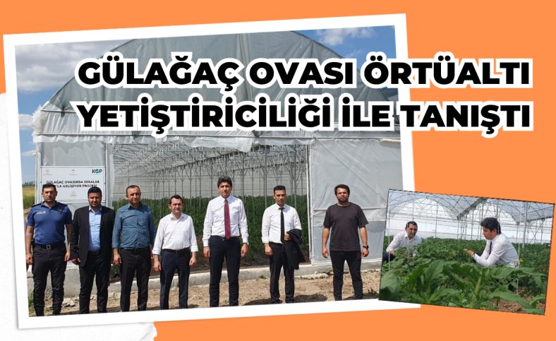 Gülağaç Ovası örtüaltı yetiştiriciliği ile tanıştı