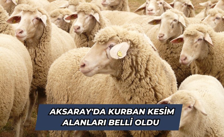 Aksaray'da kurban kesim alanları belli oldu