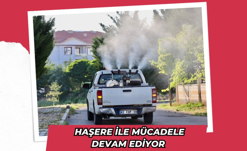 Haşere ile mücadele devam ediyor