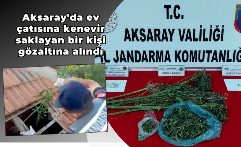 Aksaray'da ev çatısına kenevir saklayan bir kişi gözaltına alındı