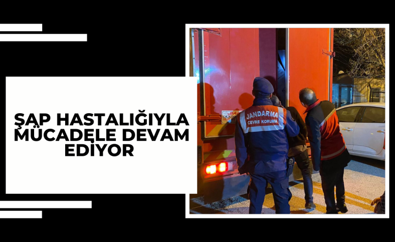 Şap hastalığıyla mücadele devam ediyor