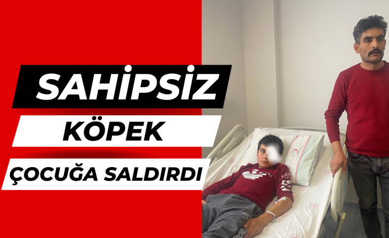 Sahipsiz köpeğin saldırdığı çocuk yaralandı