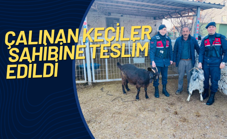 Çalınan keçiler sahibine teslim edildi