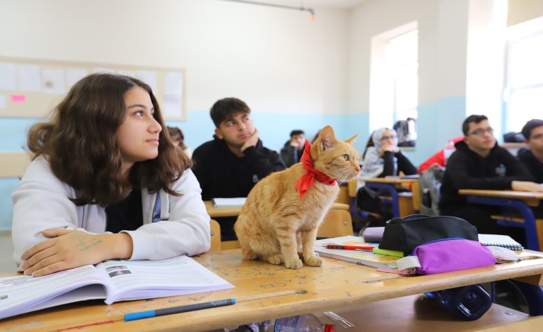 Lise’nin maskotu ‘Aslan’ öğrencilerle derslere giriyor