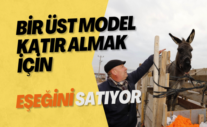 Bir üst model katır almak için eşeğini satıyor