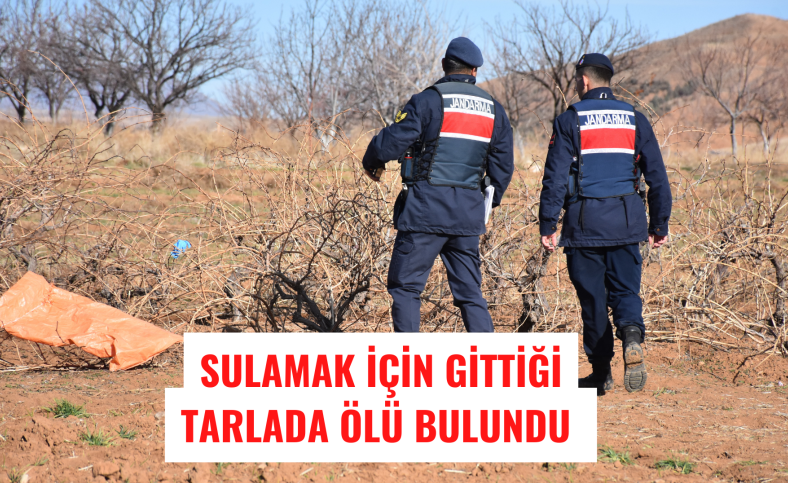 Sulamak için gittiği tarlasında ölü bulundu